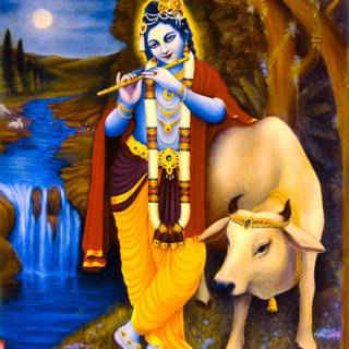Lord Krishna with cow wallpaper