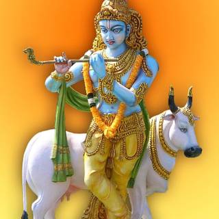 Lord Krishna with cow wallpaper