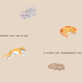 Aesthetic cat desktop wallpaper