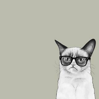 Aesthetic cat desktop wallpaper