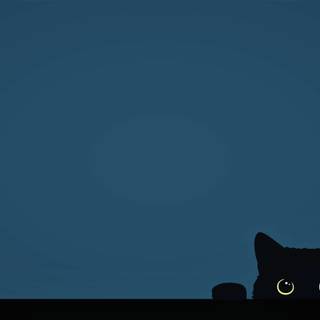 Aesthetic cat desktop wallpaper