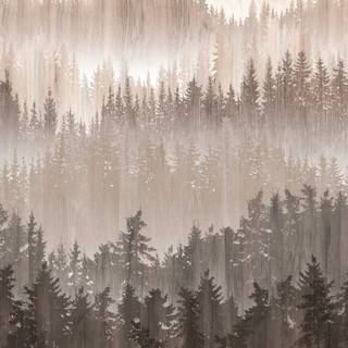 Forest abstract wallpaper