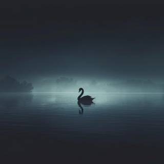 Swans desktop wallpaper