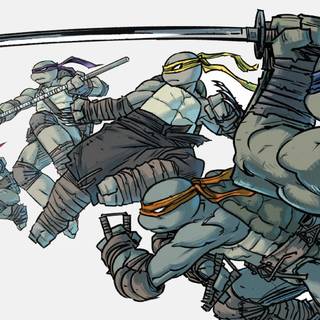 Batman vs. Teenage Mutant Ninja Turtles wallpaper