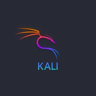 Kali Linux 4k PC wallpaper