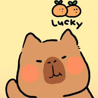 Capybara cute wallpaper