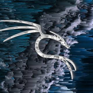Kali Linux 4k PC wallpaper