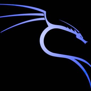 Kali Linux 4k PC wallpaper