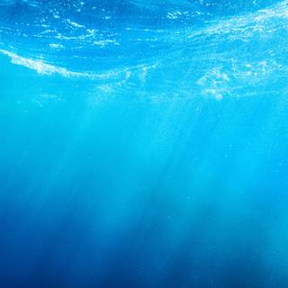 4k undersea wallpaper