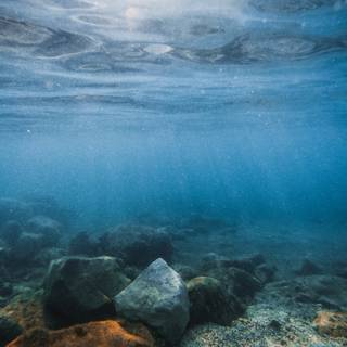 4k undersea wallpaper