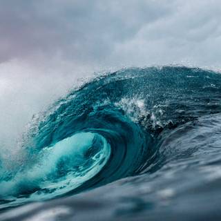 4k undersea wallpaper