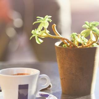 iPhone cafe wallpaper