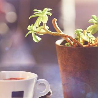 iPhone cafe wallpaper