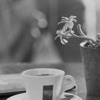 iPhone cafe wallpaper