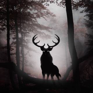 Fantasy forest iPhone wallpaper