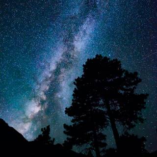 Constellation iPhone wallpaper