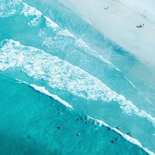 Vacation iPhone wallpaper