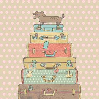 Vacation iPhone wallpaper