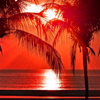 Vacation iPhone wallpaper