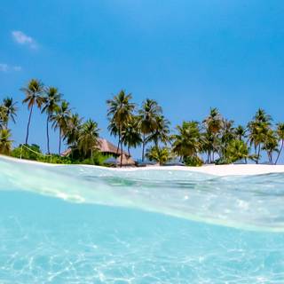 Vacation iPhone wallpaper