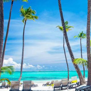 Vacation iPhone wallpaper