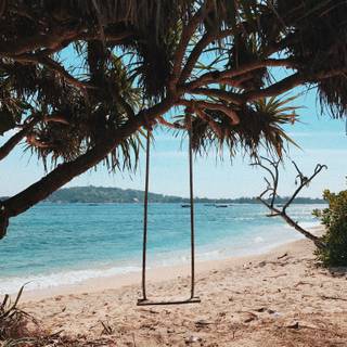 Vacation iPhone wallpaper