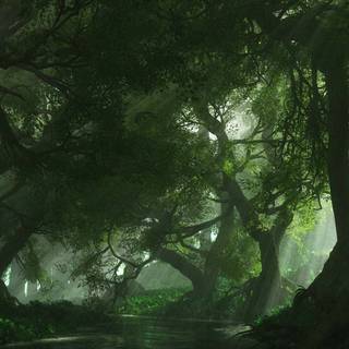 Nature dual monitor wallpaper