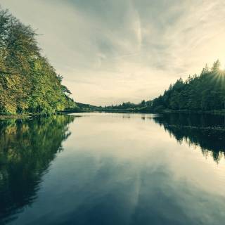 Nature dual monitor wallpaper