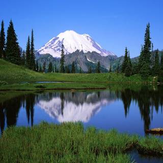 Nature dual monitor wallpaper