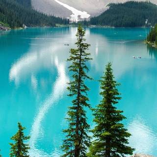 Nature dual monitor wallpaper