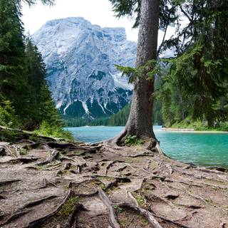 Nature dual monitor wallpaper