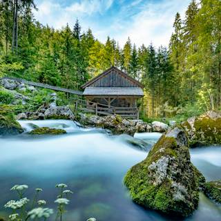 Nature dual monitor wallpaper