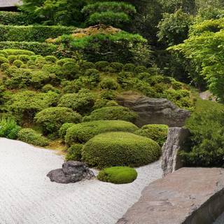 Nature dual monitor wallpaper