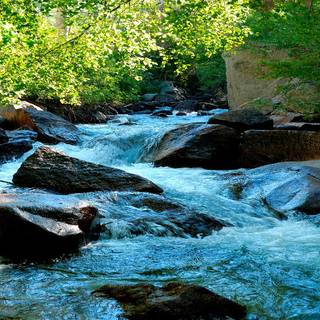 Nature dual monitor wallpaper