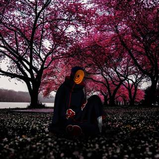 Tobi aesthetic wallpaper