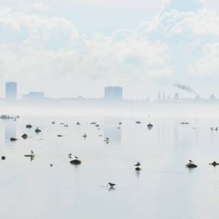 Nature dual monitor wallpaper