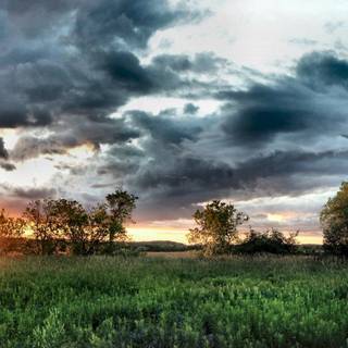 Nature dual monitor wallpaper