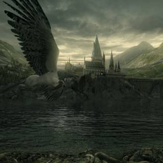 Harry Potter flying wallpaper