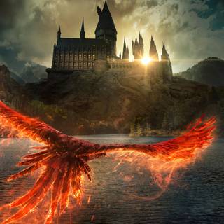 Harry Potter flying wallpaper