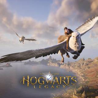 Harry Potter flying wallpaper