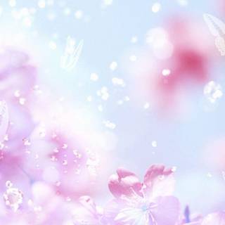 Too pretty wallpaper