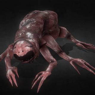 Vita Carnis wallpaper