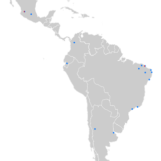 America Latina wallpaper