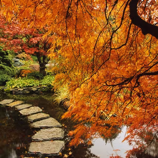 Autumn stone wallpaper