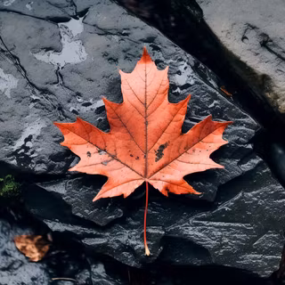 Autumn stone wallpaper