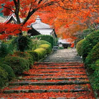 Autumn stone wallpaper