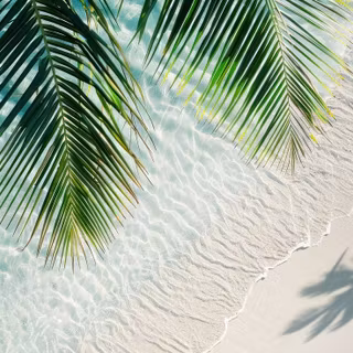 Outdoors summers wallpaper