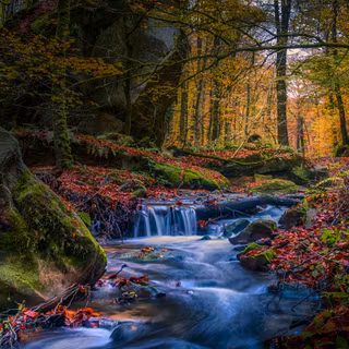 Autumn stone wallpaper