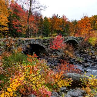 Autumn stone wallpaper