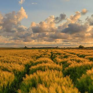 Nio Phone 2 wallpaper